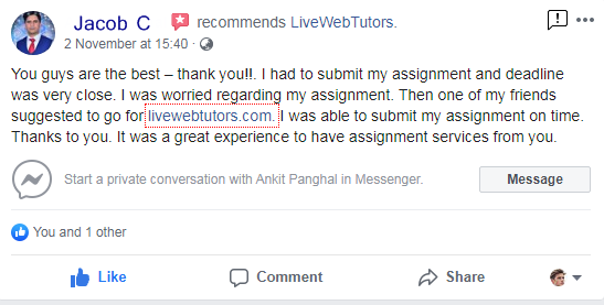 livewebtutors-review