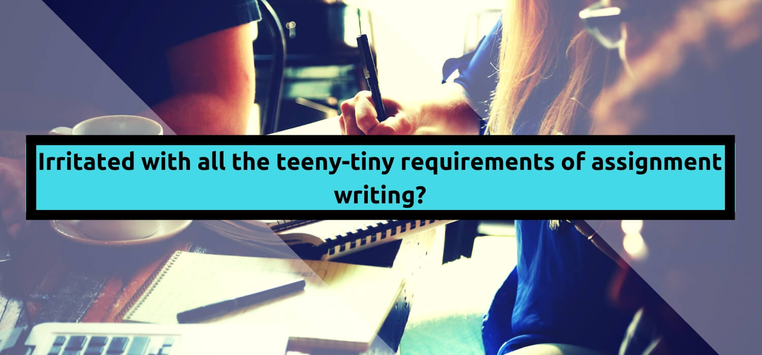 Irritated with all the teeny-tiny requirements of assignment writing?