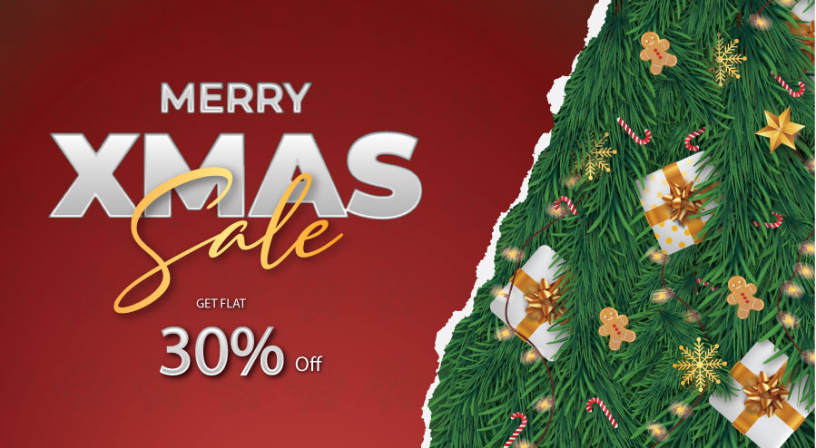 Christmas Sale is live: Get flat 30% Off in Your Assignment Order