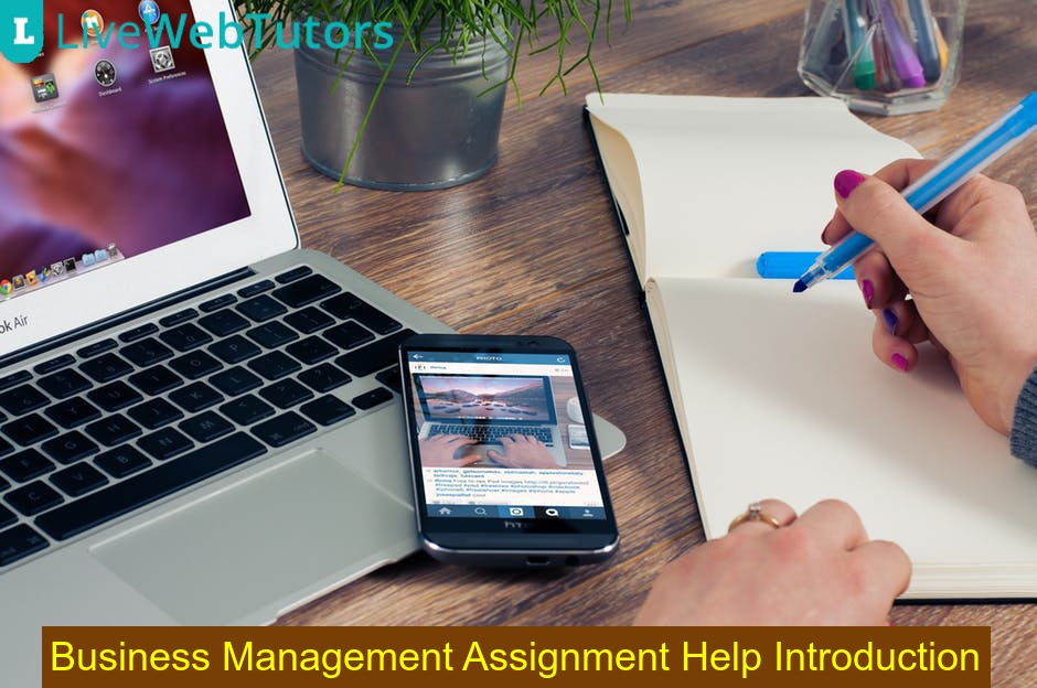 Business Management Assignment Help Introduction