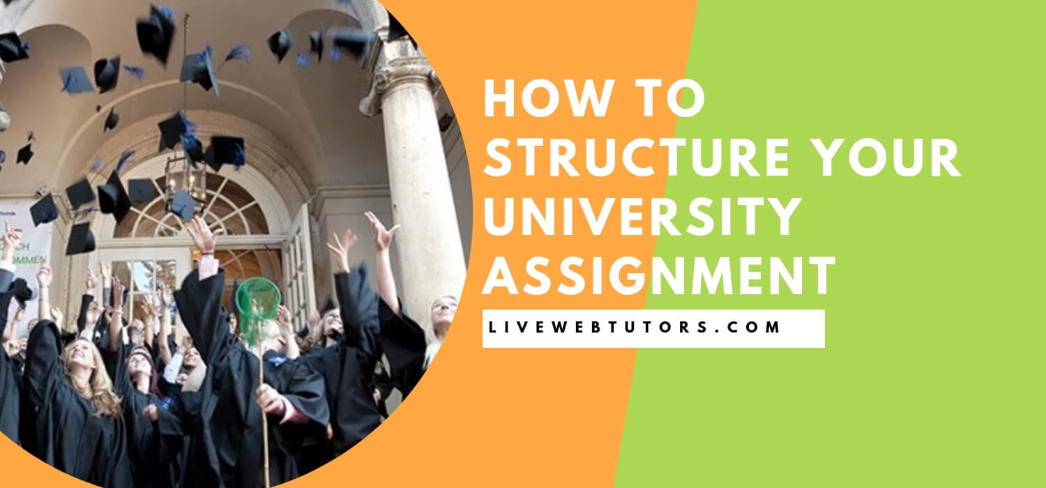 How to Structure Your University Assignment