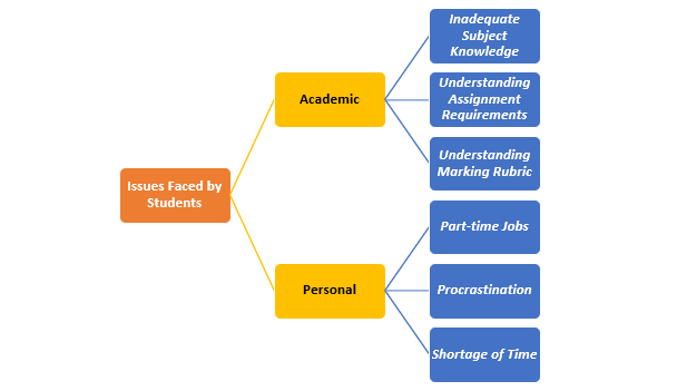 University Assignment Help